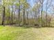 Expansive backyard with lush green grass and mature trees creating a private retreat at 7507 Reedy Creek Rd, Charlotte, NC 28215