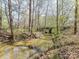 Picturesque creek with a small bridge adds natural beauty and a sense of tranquility at 7507 Reedy Creek Rd, Charlotte, NC 28215