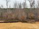 Wooded backyard view looking out to beautiful trees behind this home at 145 High Rock Ct # 03, Statesville, NC 28677