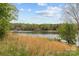 Picturesque lake view with calm waters and verdant shoreline at 1614 Fieldbrook Rd, Rock Hill, SC 29732