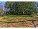 Lush backyard with mature trees offering shade, perfect for outdoor activities and relaxation at 248 Kerr Nw St, Concord, NC 28025