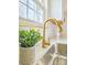 Stylish kitchen featuring a modern faucet, bright lighting, and a decorative plant at 327 Berry St, Rock Hill, SC 29732
