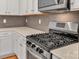 Modern kitchen with stainless steel stove at 530 Silers Bald Dr, Fort Mill, SC 29715