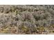 Aerial view of the neighborhood with tree coverage at 910 Forest Dr # 14, Lancaster, SC 29720