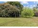 Backyard view of property with lush greenery, mature trees, and shed at 10633 Hwy 52 Hwy, Rockwell, NC 28138