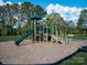 Community playground with fun slides, climbing structure, and green surroundings at 313 Alden Ct, Shelby, NC 28152