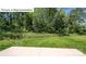 Level backyard featuring green grass, green landscaping, and concrete patio perfect for outdoor living at 1353 Secrest Commons Dr, Monroe, NC 28112