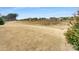 Expansive backyard showcasing a large grassy area perfect for outdoor activities and relaxation at 151 Slip Shot Ln, Troutman, NC 28166