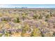Scenic aerial shot showcases neighborhood with trees and a charming home, set against the backdrop of a distant skyline at 5009 Milford Rd, Charlotte, NC 28210