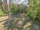 Secluded backyard with mature trees offering plenty of shade at 707 Oakshade Ave, Kannapolis, NC 28083
