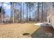 A view of the backyard that includes a concrete patio at 12810 English Walnut Ln, Charlotte, NC 28215