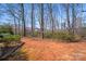 Spacious backyard with mature trees, flowering bushes, and plenty of natural beauty at 2324 Chestnut Ln, Matthews, NC 28104