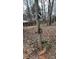 An old-fashioned well with a pump surrounded by trees at 350 Brawley Rd, Cleveland, NC 27013