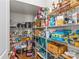 Walk-in pantry with ample shelving, perfect for organizing groceries and kitchen essentials at 9108 Ainslie Downs St, Charlotte, NC 28273
