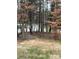 Pathway to the lake within the North Reach community through a wooded area at 19011 Dry Narrows Way, Charlotte, NC 28278