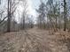 A rustic driveway leads through a tranquil, wooded landscape with a serene and natural setting at 5687 Putuptoe Pl, Norwood, NC 28128