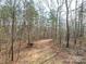 Path through the woods to a hunting stand at 5687 Putuptoe Pl, Norwood, NC 28128