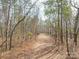 Path through the woods with natural foliage, leaves and trees at 5687 Putuptoe Pl, Norwood, NC 28128