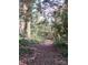 View of a serene path through trees and lush greenery with light peeking through the canopy above at 215 Bailey Ave, Rock Hill, SC 29732