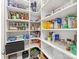 Walk-in pantry with organized shelving that provides ample storage space at 5013 Watercrest Trl, Belmont, NC 28012
