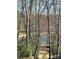 Tranquil view of the pond through the trees in the backyard at 5013 Watercrest Trl, Belmont, NC 28012