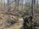 Creek flowing through wooded residential lot at 1298 Hines Rd, Clover, SC 29710