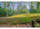 Spacious backyard with lush greenery and mature trees, providing a serene outdoor environment at 5536 Seacroft Rd, Charlotte, NC 28210