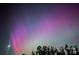 Spectacular view of the Aurora Borealis with purple and pink hues over treetops at 7456 Hartsfield Dr, Lancaster, SC 29720
