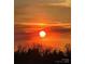 Scenic sunset view showcasing vibrant colors over a silhouetted treeline at 7456 Hartsfield Dr, Lancaster, SC 29720