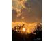 Scenic sunset featuring golden sun rays behind silhouetted trees and dramatic clouds creating a captivating, warm atmosphere at 7456 Hartsfield Dr, Lancaster, SC 29720