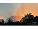 Beautiful sunset sky with orange and yellow hues and trees in the foreground at 7456 Hartsfield Dr, Lancaster, SC 29720