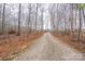 Long gravel driveway leading to a home surrounded by tall trees at 1795 Kestrel Valley Ln, Catawba, NC 28609