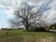 Spacious front yard featuring a mature tree and view of a large, open field with storage tanks at 2730 Medlin Rd, Monroe, NC 28112