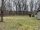 Large, grassy back yard and mature trees create a peaceful outdoor space at 10516 Hambright Rd, Huntersville, NC 28078