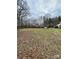 Expansive lawn with large trees in the background, providing privacy and shade at 10516 Hambright Rd, Huntersville, NC 28078