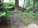 Backyard stone path leading through lush vegetation at 2815 Glendale Rd, Charlotte, NC 28209