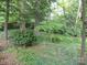 Lush backyard with various trees, bushes, and plants at 2815 Glendale Rd, Charlotte, NC 28209
