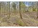 View of the surrounding natural wooded area at 2819 Blythe Rd, Waxhaw, NC 28173