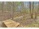 Natural wooded area featuring a small stream and a wooden foot bridge at 2819 Blythe Rd, Waxhaw, NC 28173