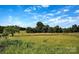 Lush backyard showcasing a vast green space, tall grasses, and scattered trees under a blue sky at 8455 W Nc 152 Hwy, Mooresville, NC 28115