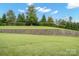 Scenic backyard view featuring a grassy lawn, retaining wall, and lush trees at 14920 High Bluff Ct, Charlotte, NC 28278
