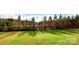 Open backyard with a well-maintained lawn, mature trees lining the fence, and plenty of natural light at 4253 Stream Dale Nw Cir, Concord, NC 28027