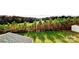 Gorgeous view of the private, green backyard and surrounding wooded areas from the house at 4253 Stream Dale Nw Cir, Concord, NC 28027