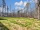 A spacious backyard with healthy green grass and a line of tall trees at 4262 Brandy Creek Ct, Clover, SC 29710