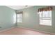 Bedroom with muted green walls featuring two windows, carpet floors, and neutral trim at 7327 Carrbridge Ln, Charlotte, NC 28226