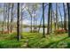 The lush backyard provides access to a private dock on the serene lake, perfect for relaxation at 928 Thorn Ridge Ln, Clover, SC 29710