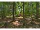 Secluded backyard featuring hammock strung between trees near a charming home at 3017 Chisholm Ct, Waxhaw, NC 28173