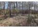 View of wooded backyard with trees and vegetation at 517 Roberts Ave, York, SC 29745