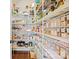 Organized walk-in pantry with ample shelving and storage space for food and supplies at 224 Alexandria Dr, Mooresville, NC 28115