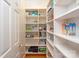 Walk-in pantry with ample shelving for organized storage of food items and kitchen essentials at 6510 Seton House Ln, Charlotte, NC 28277